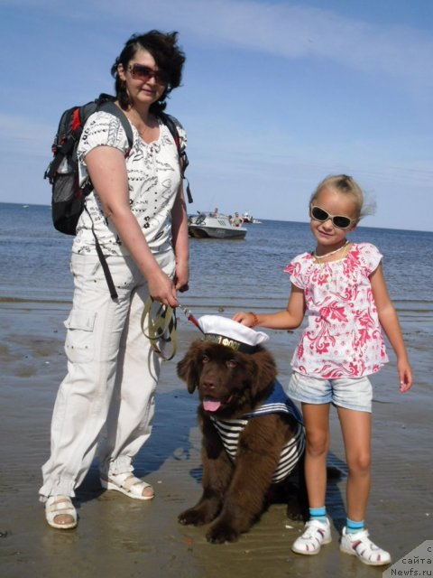 Фотография № 102243