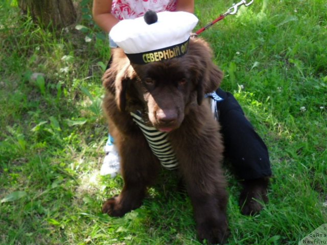 Фотография № 102244