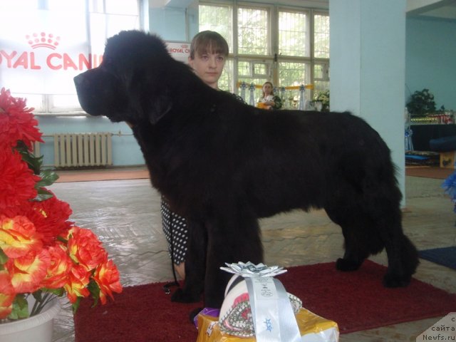 Фотография № 102248