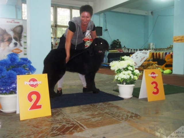 Фотография № 102250