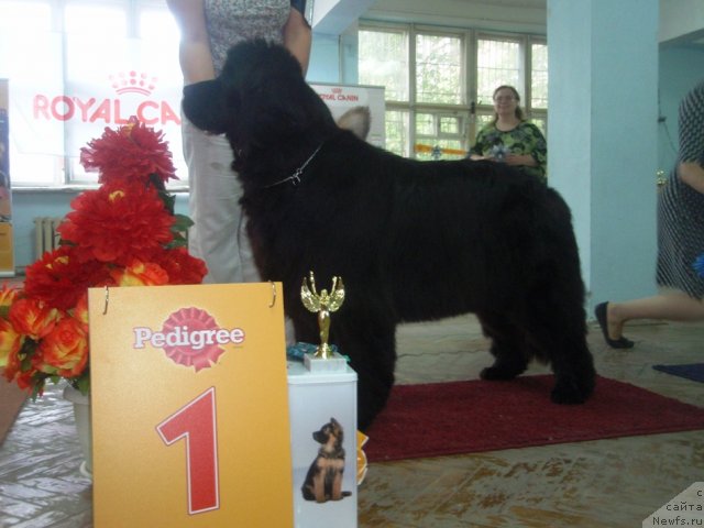 Фотография № 102251