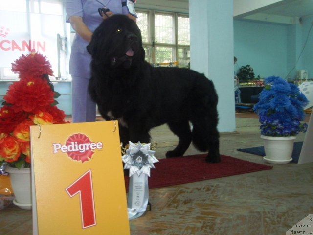 Фотография № 102258