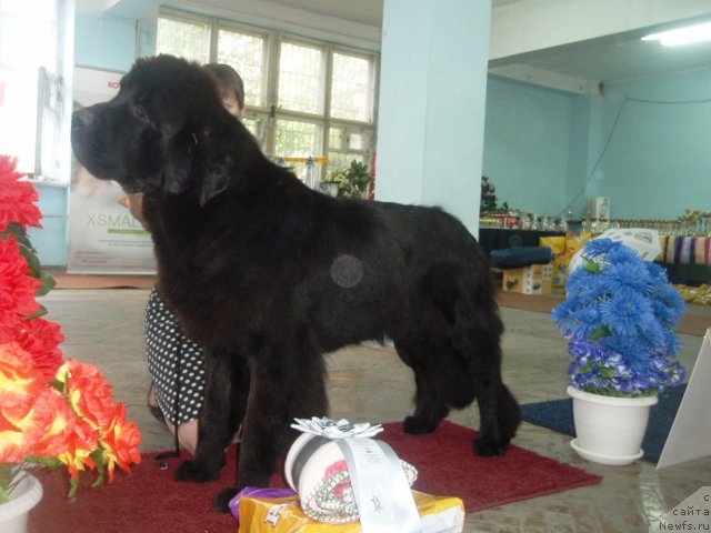 Фотография № 102259