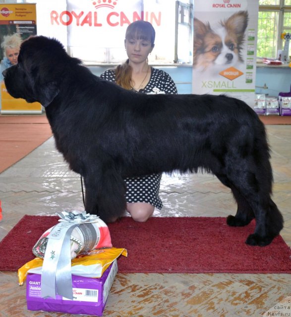 Фотография № 102283