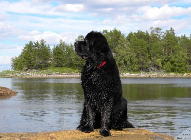 Фотография № 102288