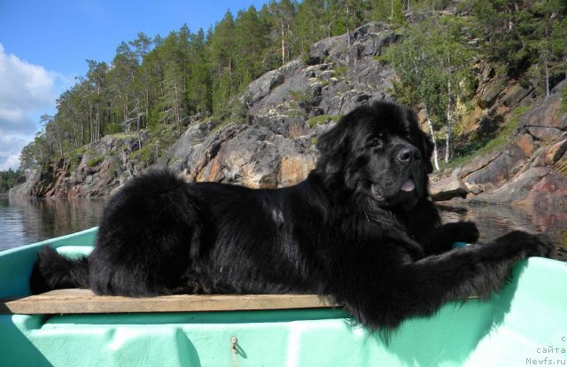 Фотография № 102290