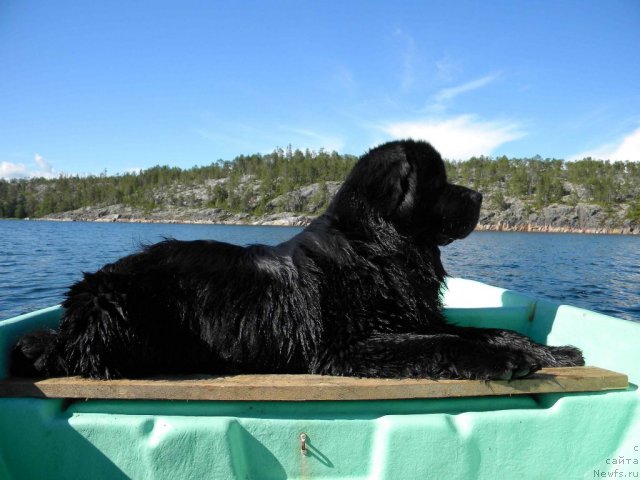 Фотография № 102291