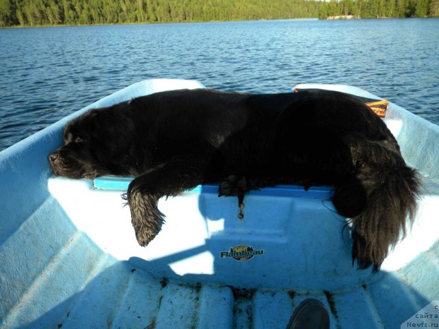 Фотография № 102293