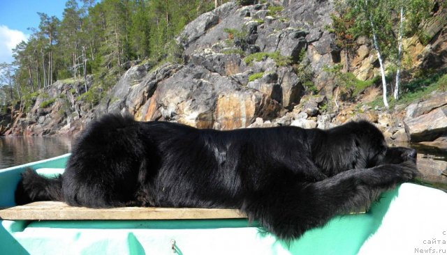 Фотография № 102295