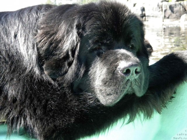 Фотография № 102297