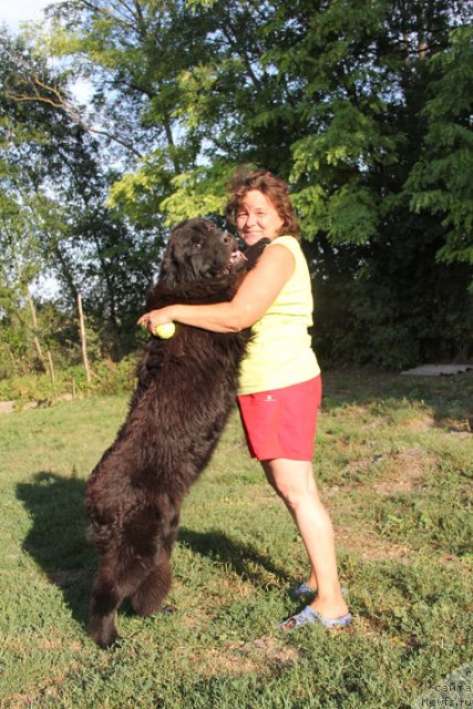 Фотография № 102305