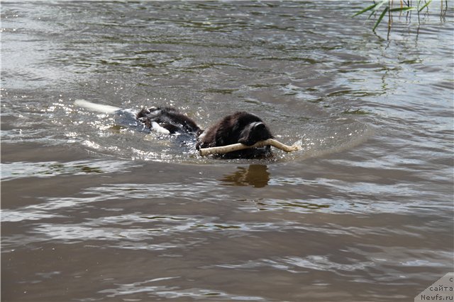 Фотография № 102426