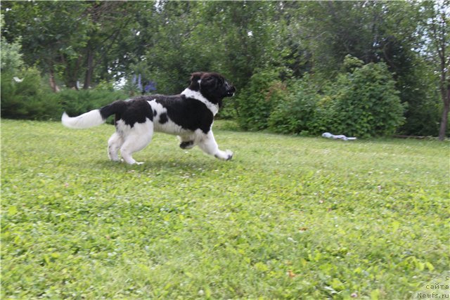 Фотография № 102427