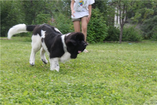 Фотография № 102430