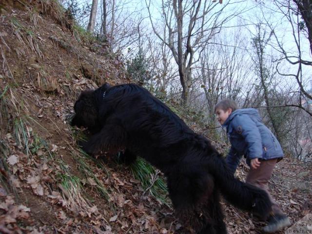 Фотография № 10248