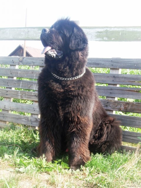 Фотография № 102526