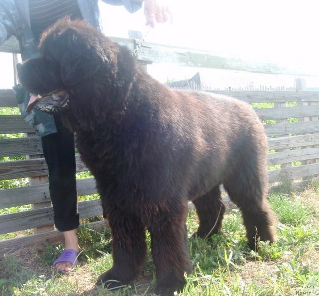 Фотография № 102529