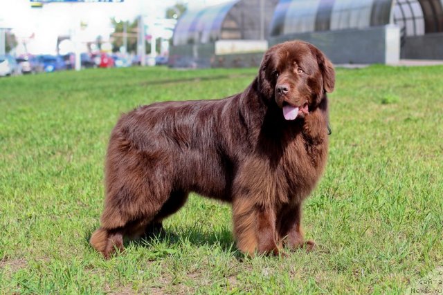 Фотография № 102550