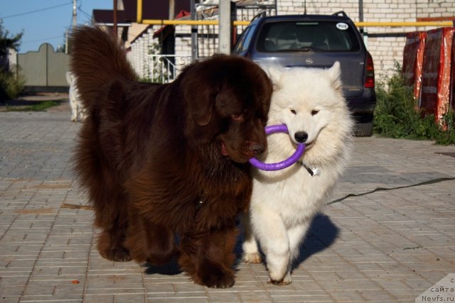 Фотография № 102561