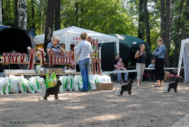 Фотография № 102566