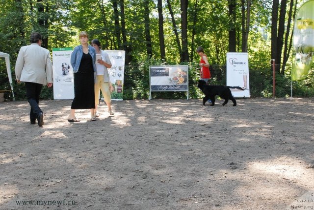 Фотография № 102570