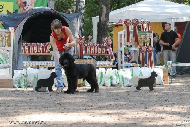 Фотография № 102572