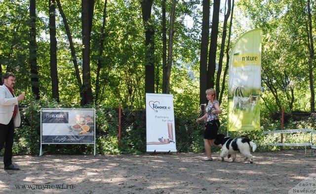 Фотография № 102573