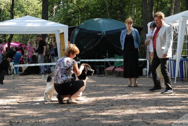 Фотография № 102575