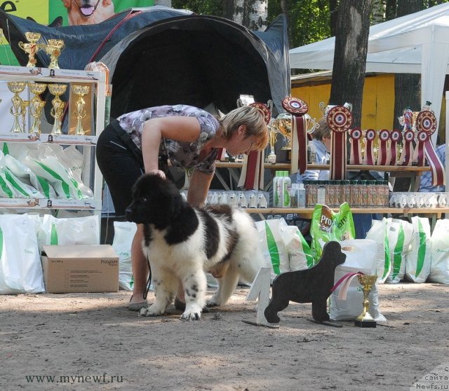 Фотография № 102576