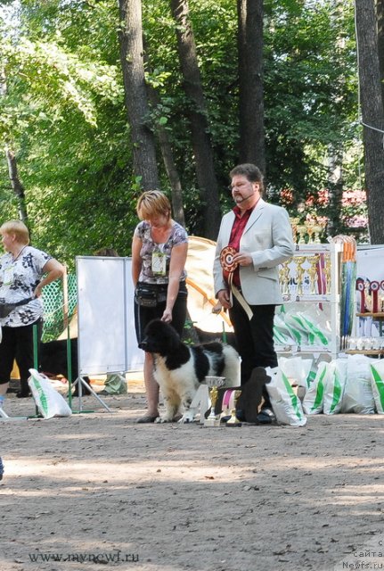 Фотография № 102579