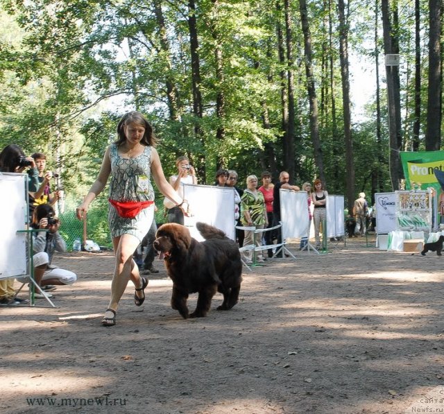 Фотография № 102580