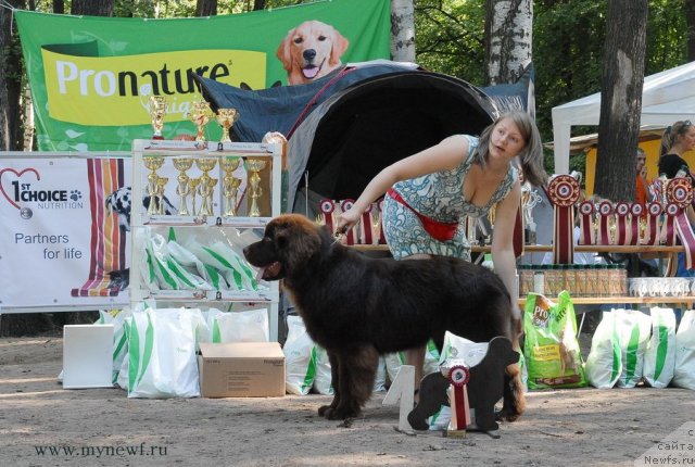 Фотография № 102582