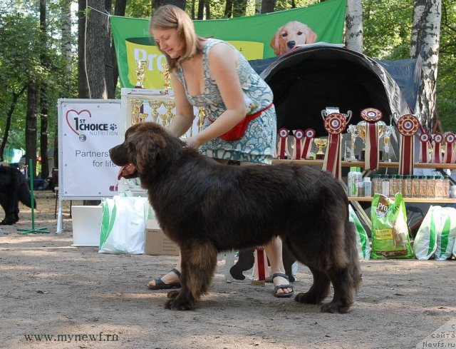 Фотография № 102583