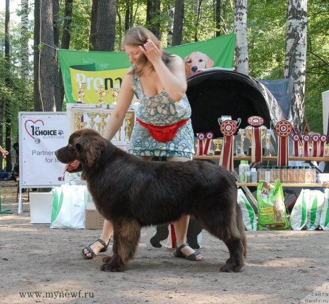 Фотография № 102584