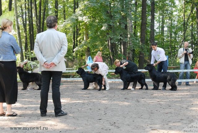 Фотография № 102585