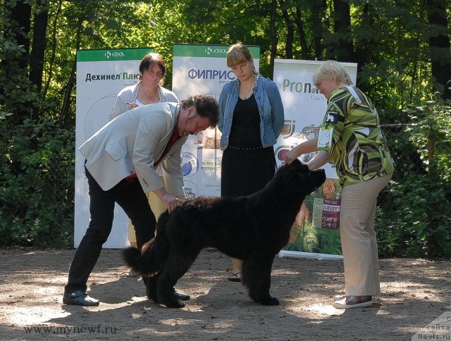 Фотография № 102588