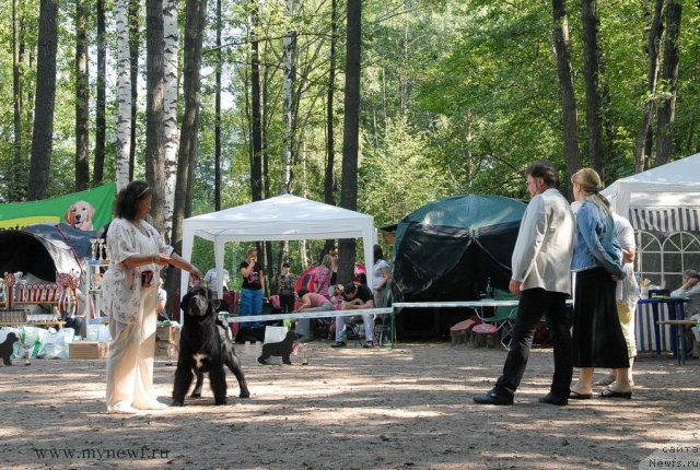 Фотография № 102591