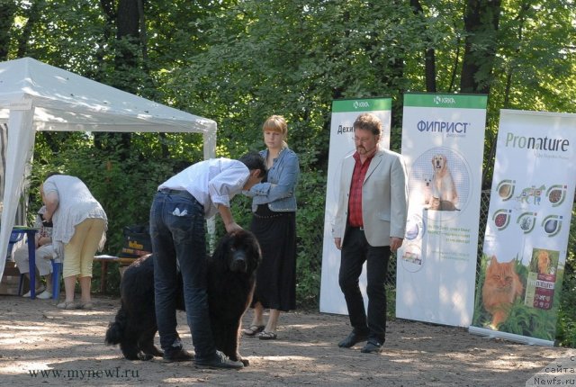 Фотография № 102593