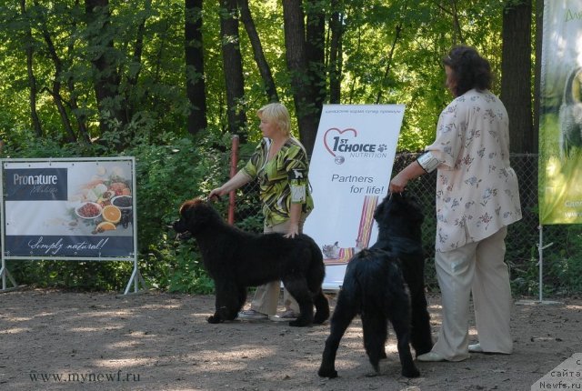 Фотография № 102595