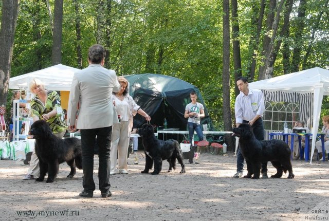 Фотография № 102598