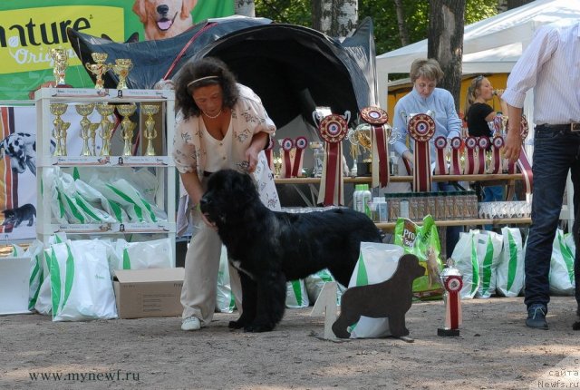 Фотография № 102599