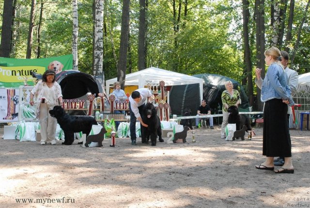 Фотография № 102603