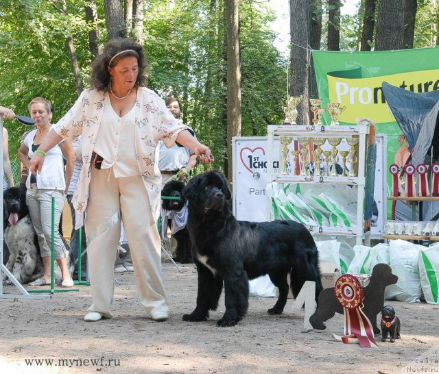 Фотография № 102606