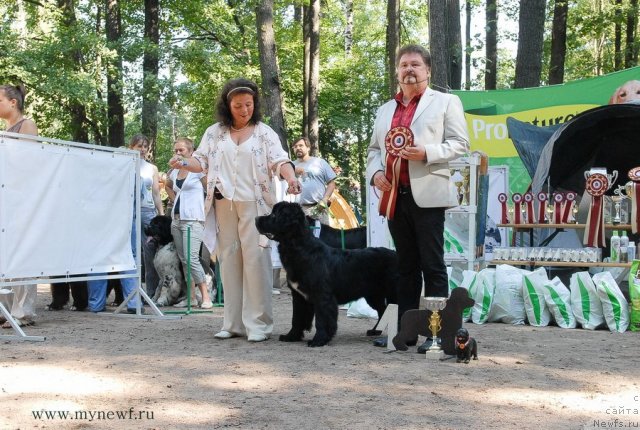 Фотография № 102607