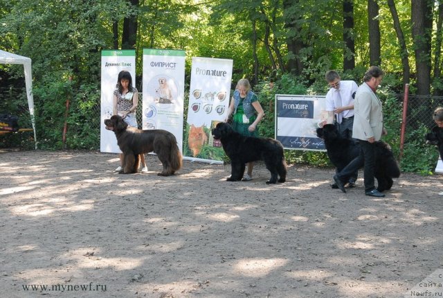 Фотография № 102609