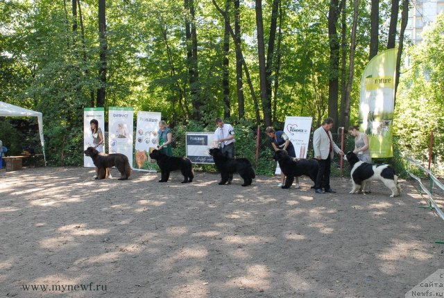 Фотография № 102610