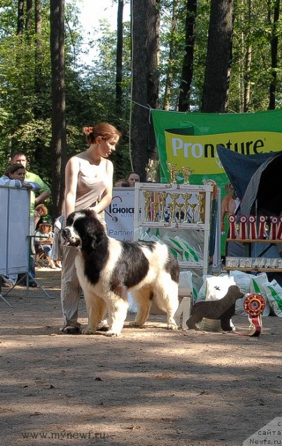 Фотография № 102616