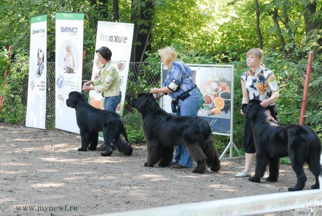 Фотография № 102617