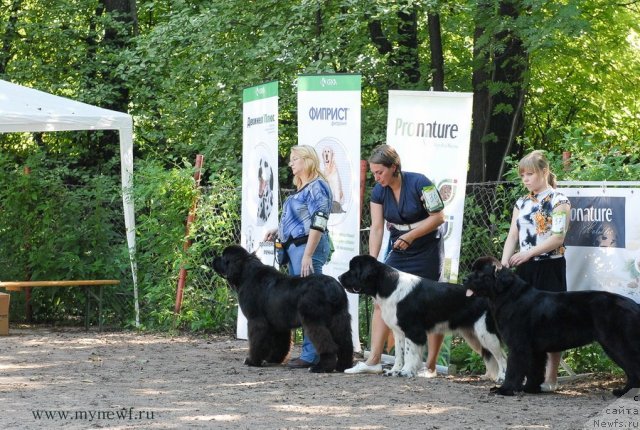 Фотография № 102619