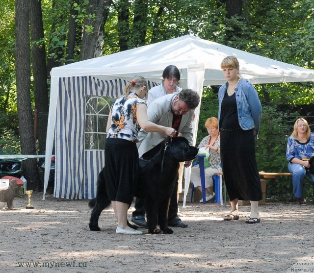 Фотография № 102623